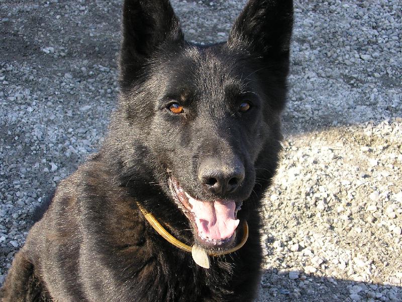 Foto: Ben�k-...to jsem ale fe�k, co?