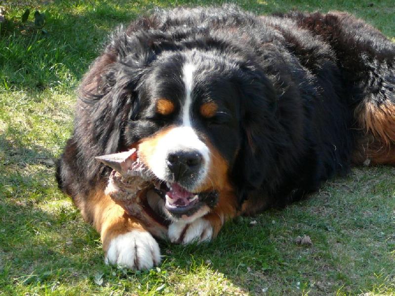 Foto: Edgar-pohodi�ka