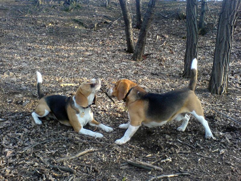 Foto: Eda s Vendulkou