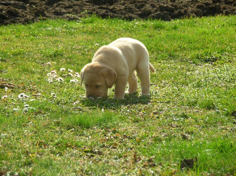 Foto: �t���tka