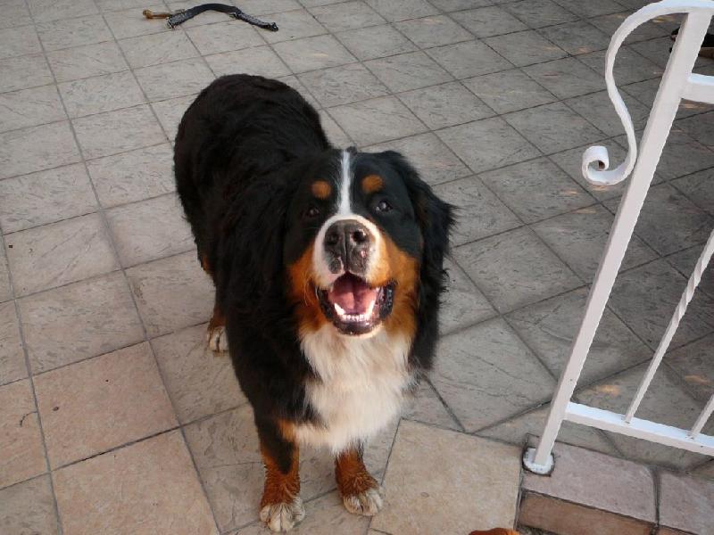 Foto: Kuk-kouk�m :-)