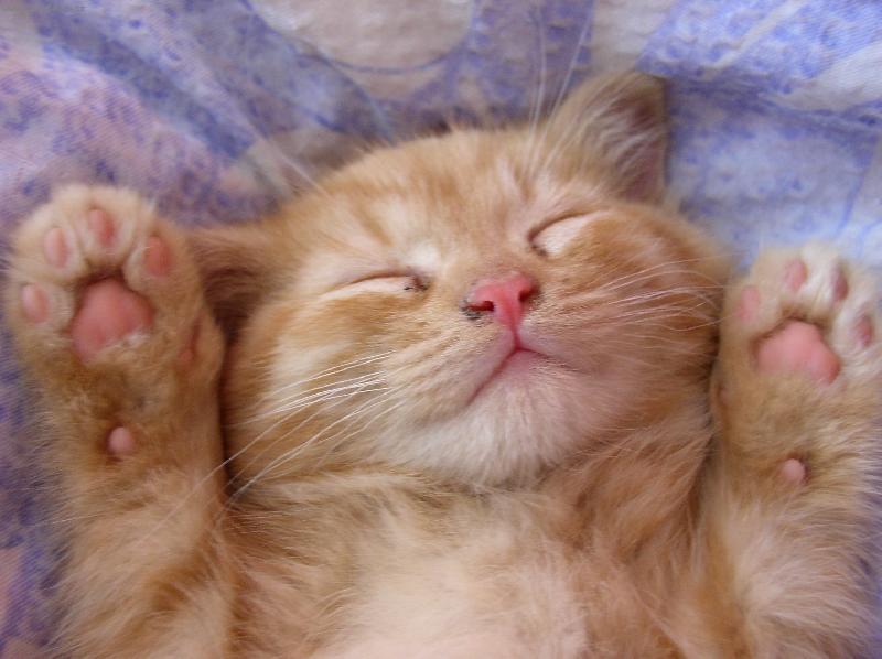 Foto: Dob�e, dob�e, vzd�v�m se.