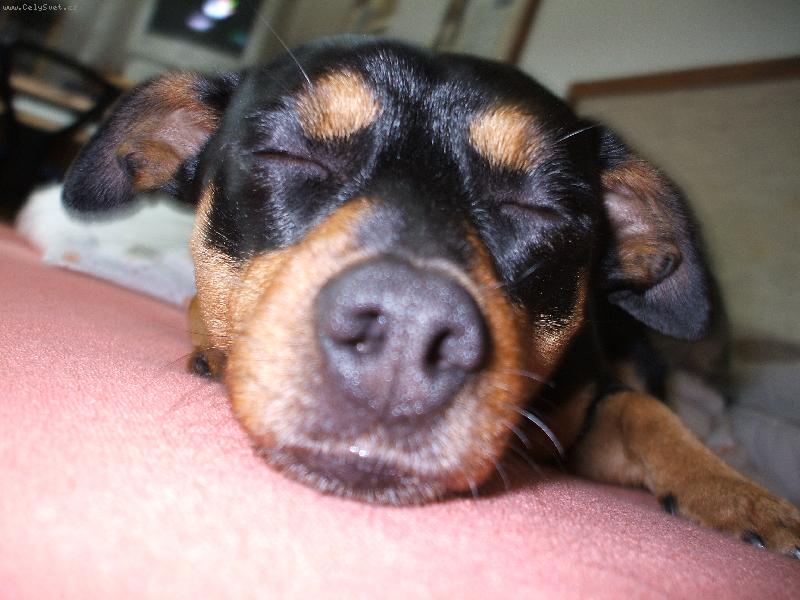 Foto: Relaxuj�c� Ben