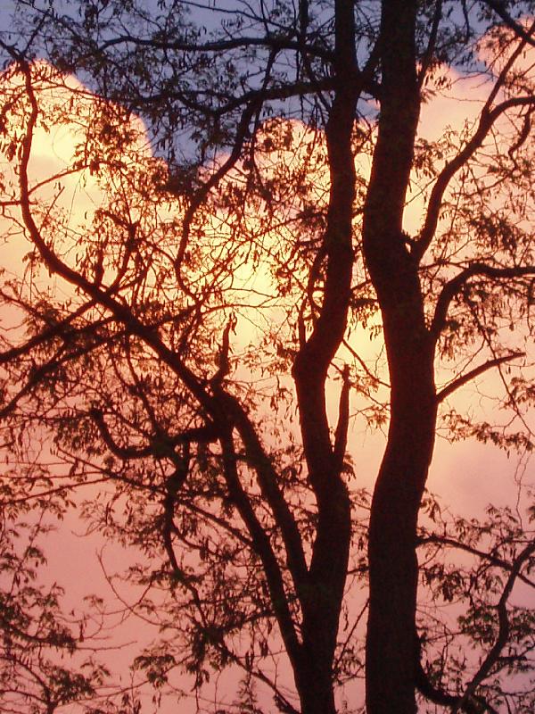 Foto: Ukrajinsk� jaro