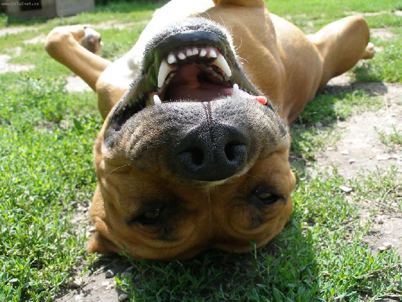 Foto: Kessynky �sm�v