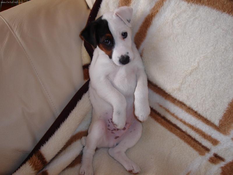 Foto: tak u� zapn�te tu televizi