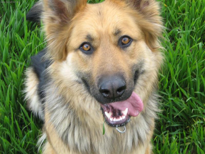 Foto: ��lenej pohled