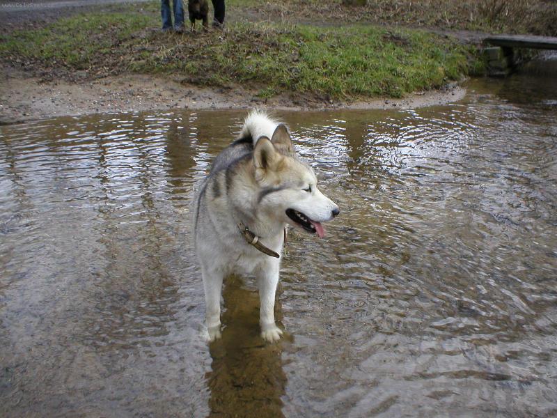 Foto: akki-m�m si j�t zaplavat