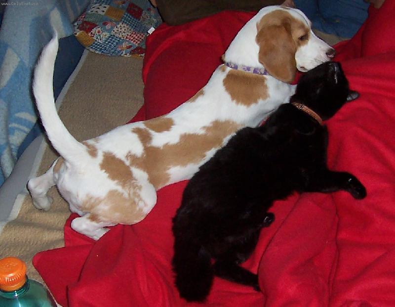 Foto: zlat��ka-D� mi pusu?