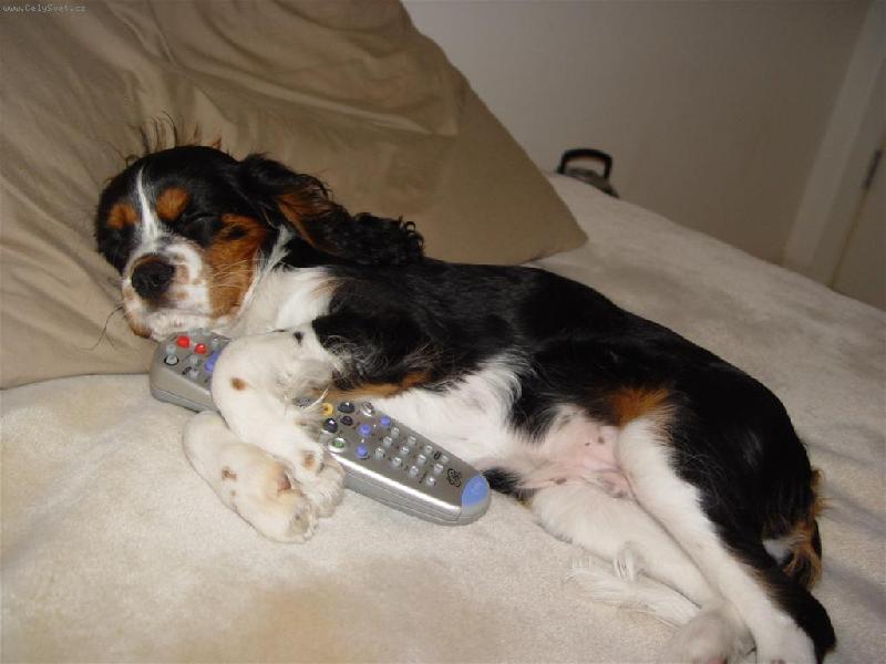 Foto: Endy-Cely panicek