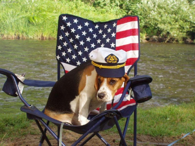 Foto: Bessinka-Na Vltav�