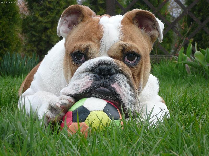 Foto: relax v tr�v�