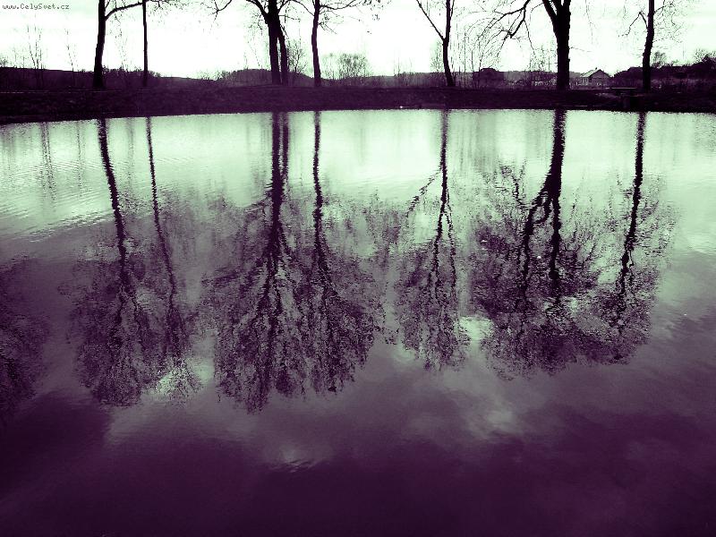 Foto: Odraz v rybn�ce...