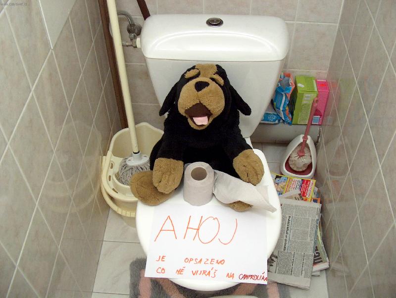 Foto: obsazeno-p�ekvapen� na WC