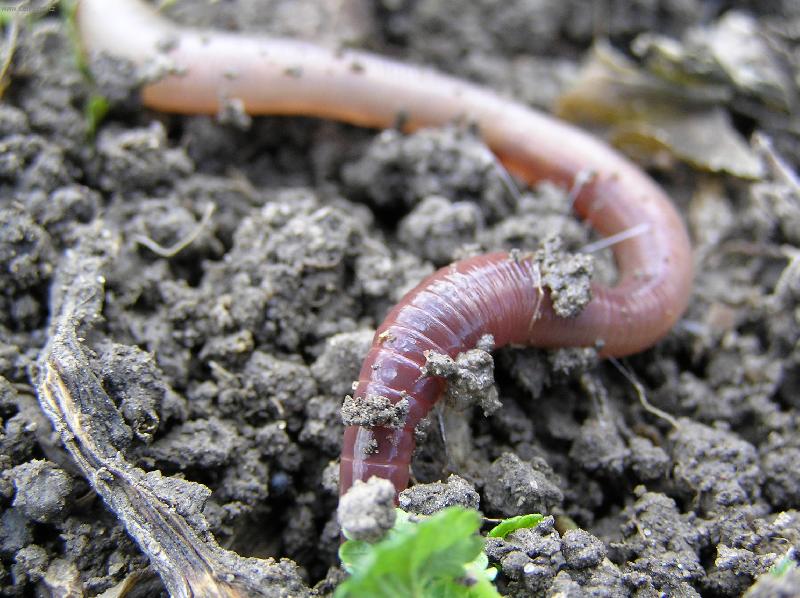 Foto: Na denn�m sv�tle