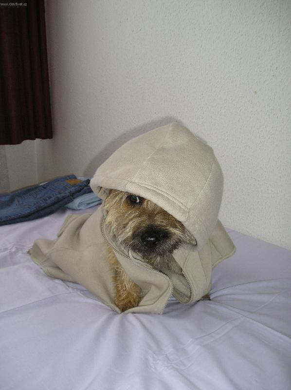 Foto: Bubu-bubu