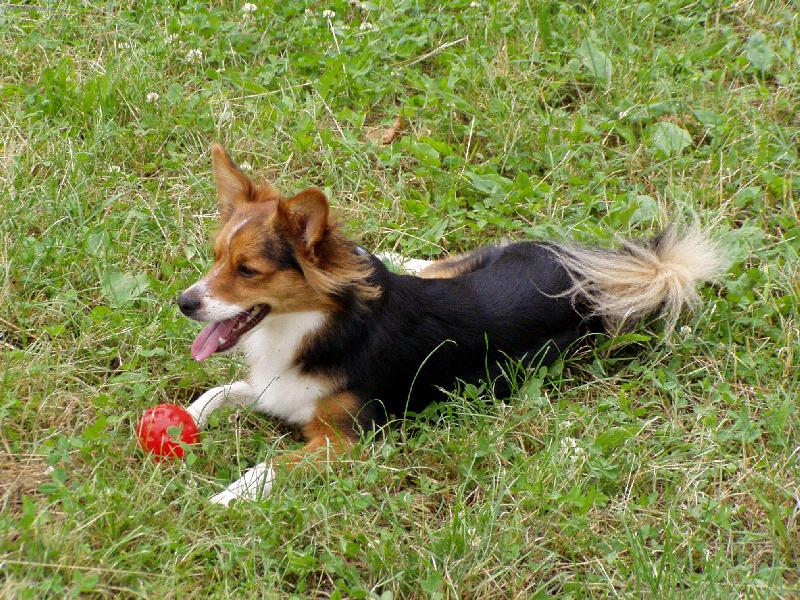 Foto: Filom�nka
