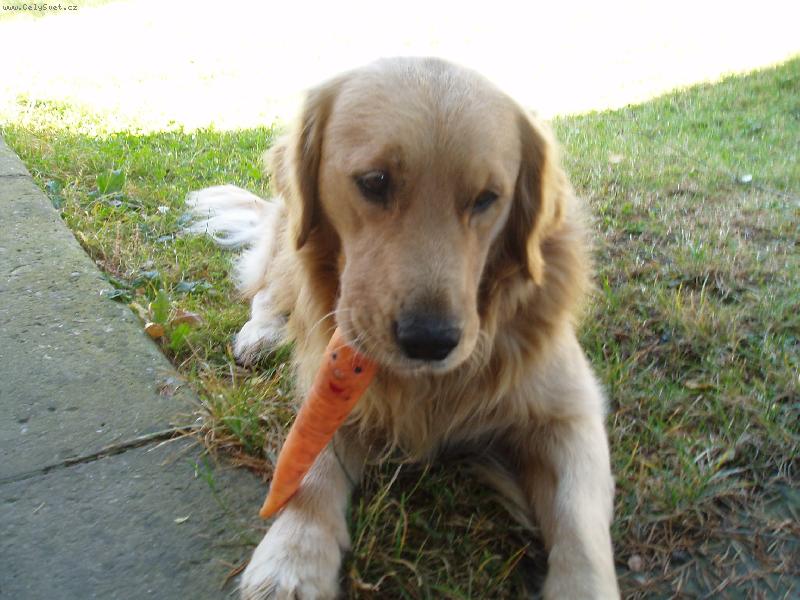 Foto: Argo