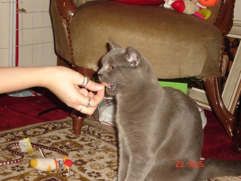 Foto: Alex