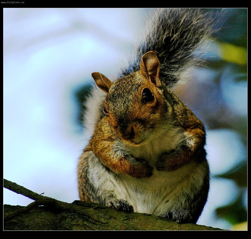 Foto: Nem� o��ek ?!?!?!?