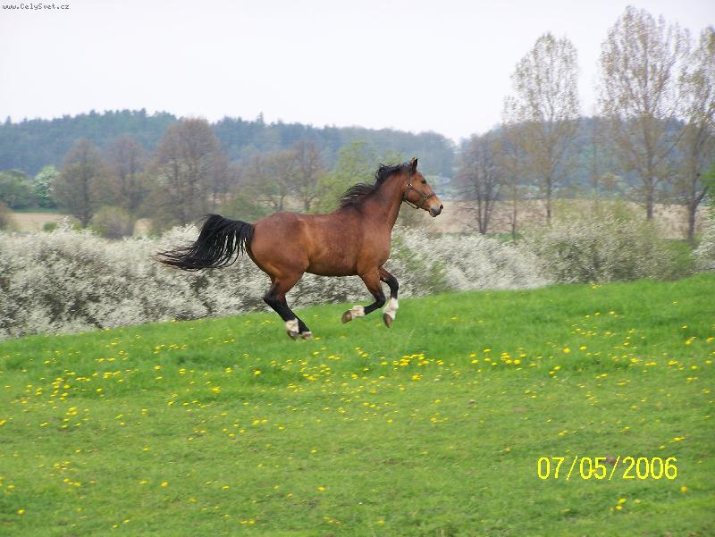 Foto: m� nechyt�!