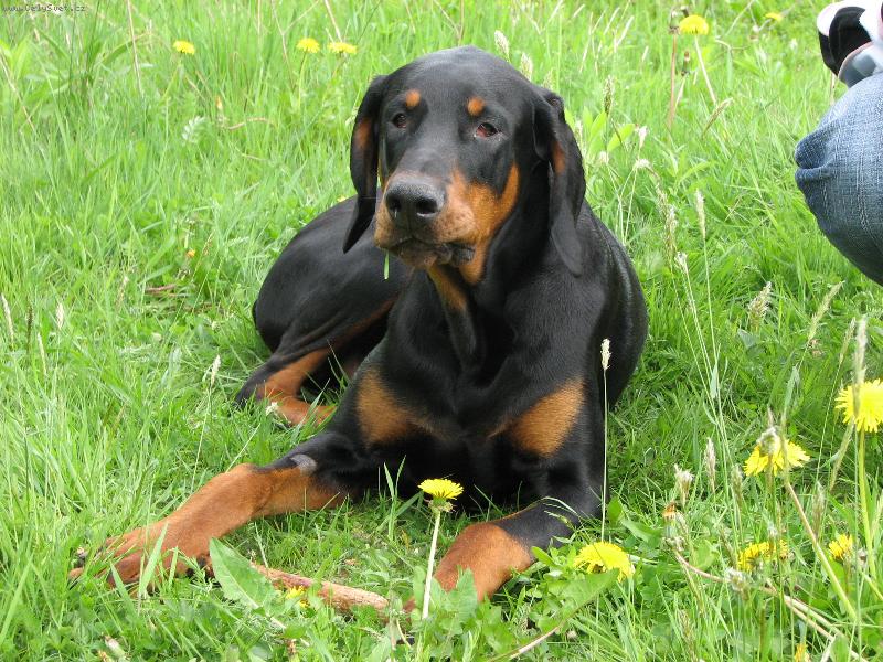 Foto: Argo