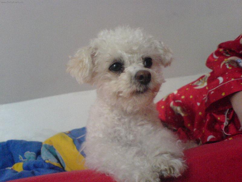 Foto: Elis