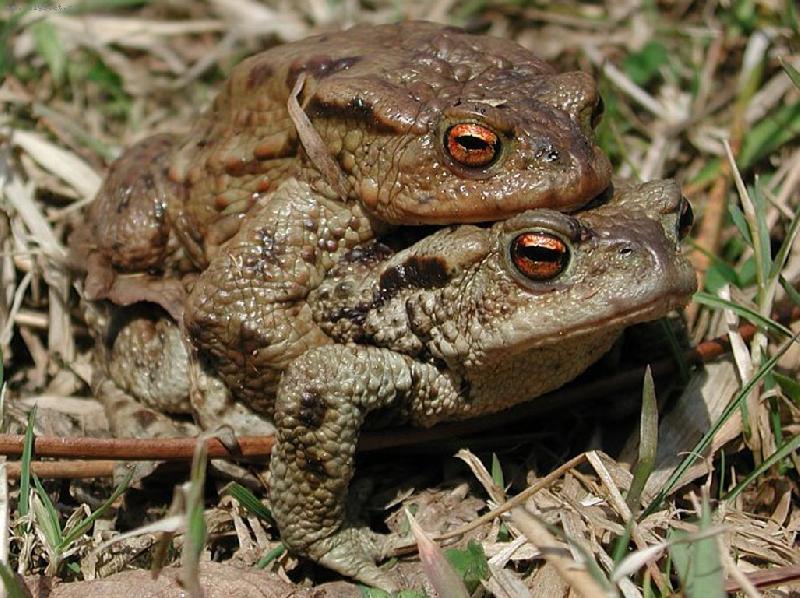 Foto: �abky cestovatelky-A jed���m