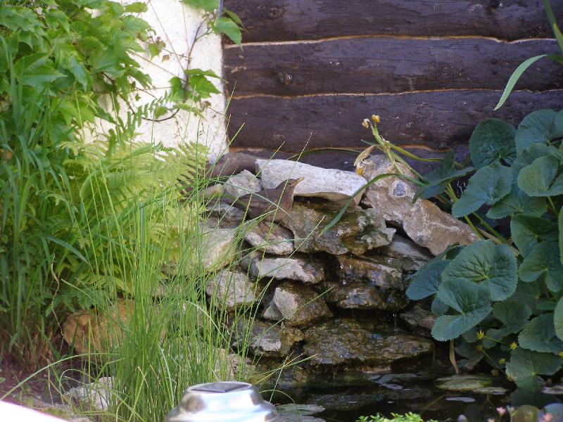 Foto: kos u vody-co kouk�te, j� m�m taky ��ze�