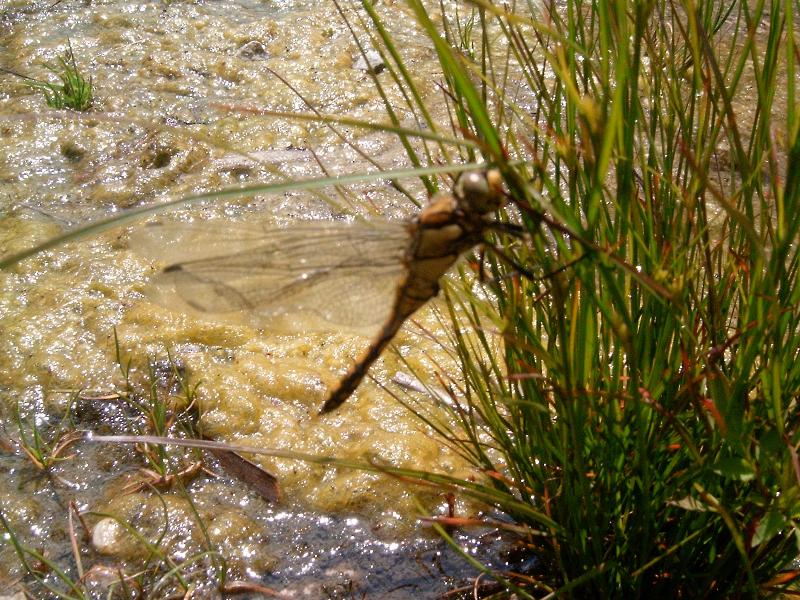 Foto: vaska:)))-ta ale byla velka..:))