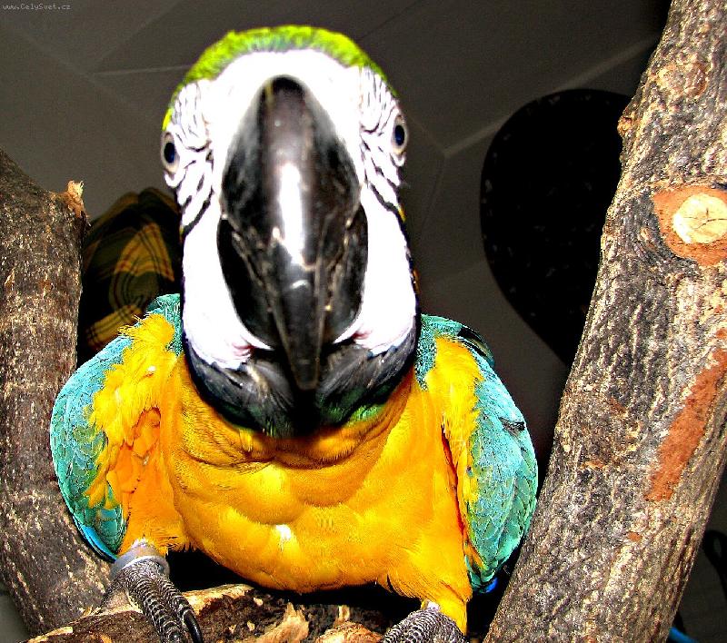 Foto: NA �UMEND�