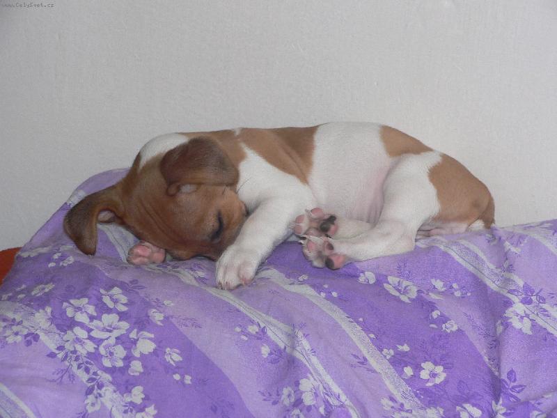 Foto: Jackie