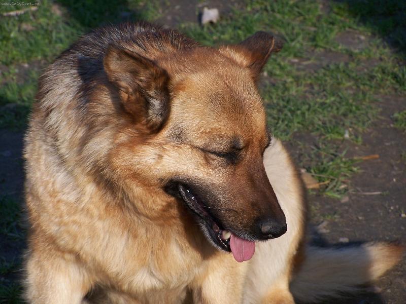Foto: Brixa