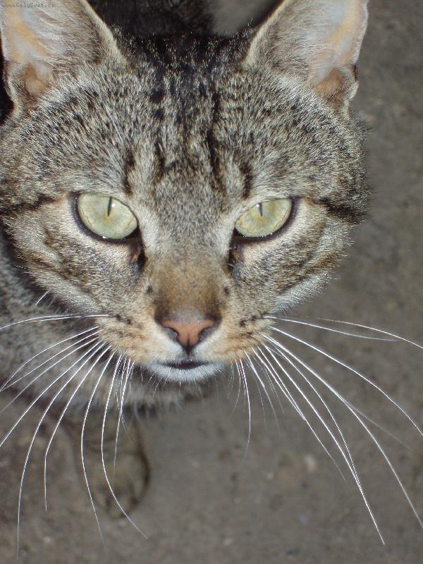 Foto: Edou�ek