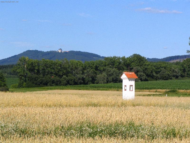 Foto: Bo�� muka pod sv. Host�nem