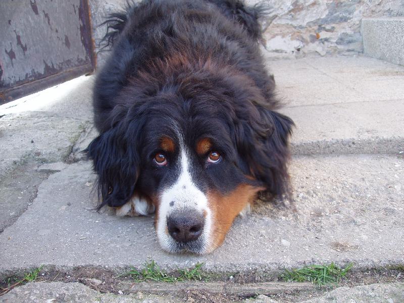 Foto: brou�ek...