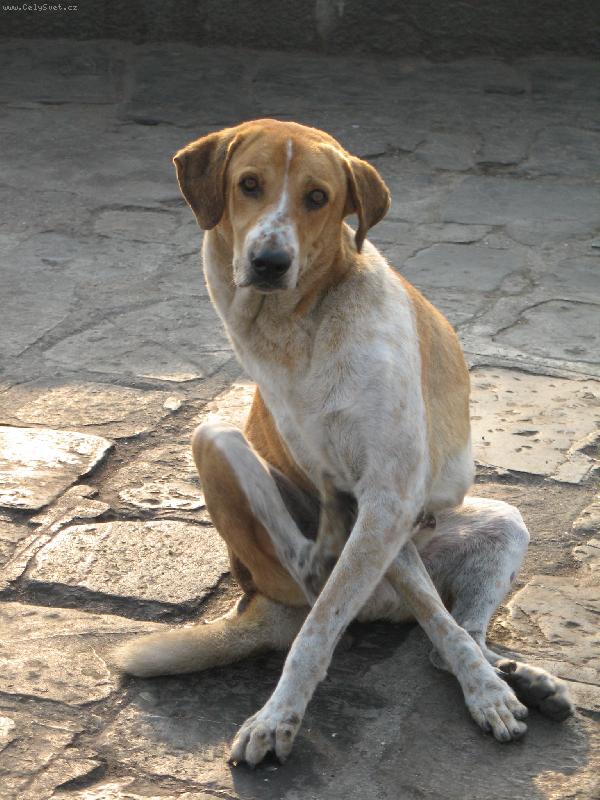 Foto: model