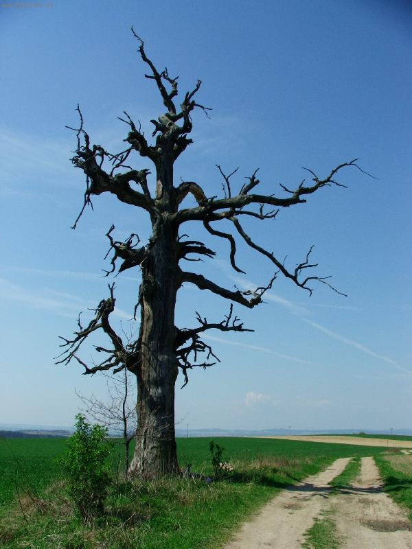 Foto: Opu�t�n�