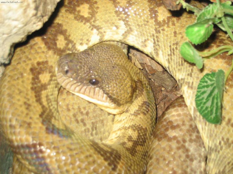 Foto: "H���tko"