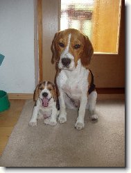 R�chlo fo�, lebo zasp�me !!!