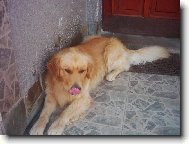 Max�k