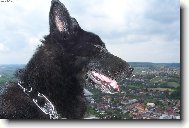 kr�lovna sv�ta