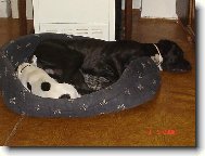 Odpoledn� siesta