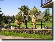 Vzpom�nka na l�to