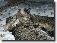 Na�e mazlinky