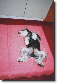 odpo�inek