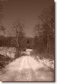 Na proch�zce