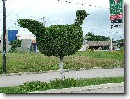 slepi�ka