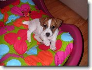 Mia poprv� doma