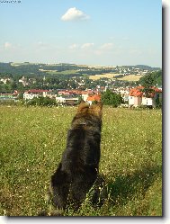 pohled na m�sto